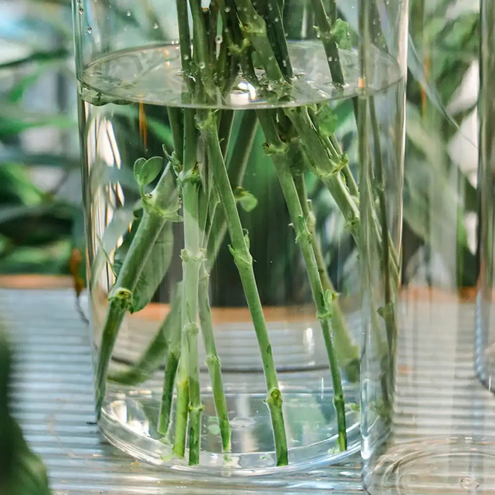 Clear glass flower vase with green plant stems in water decorbites™ shatterproof tall transparent acrylic vase