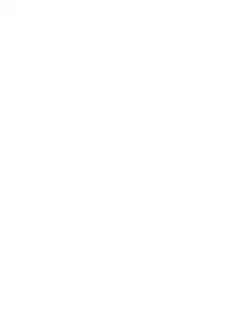 Decorbites silky mulberry silk black bedding set queen king size pcs duvet cover with smooth luxurious texture