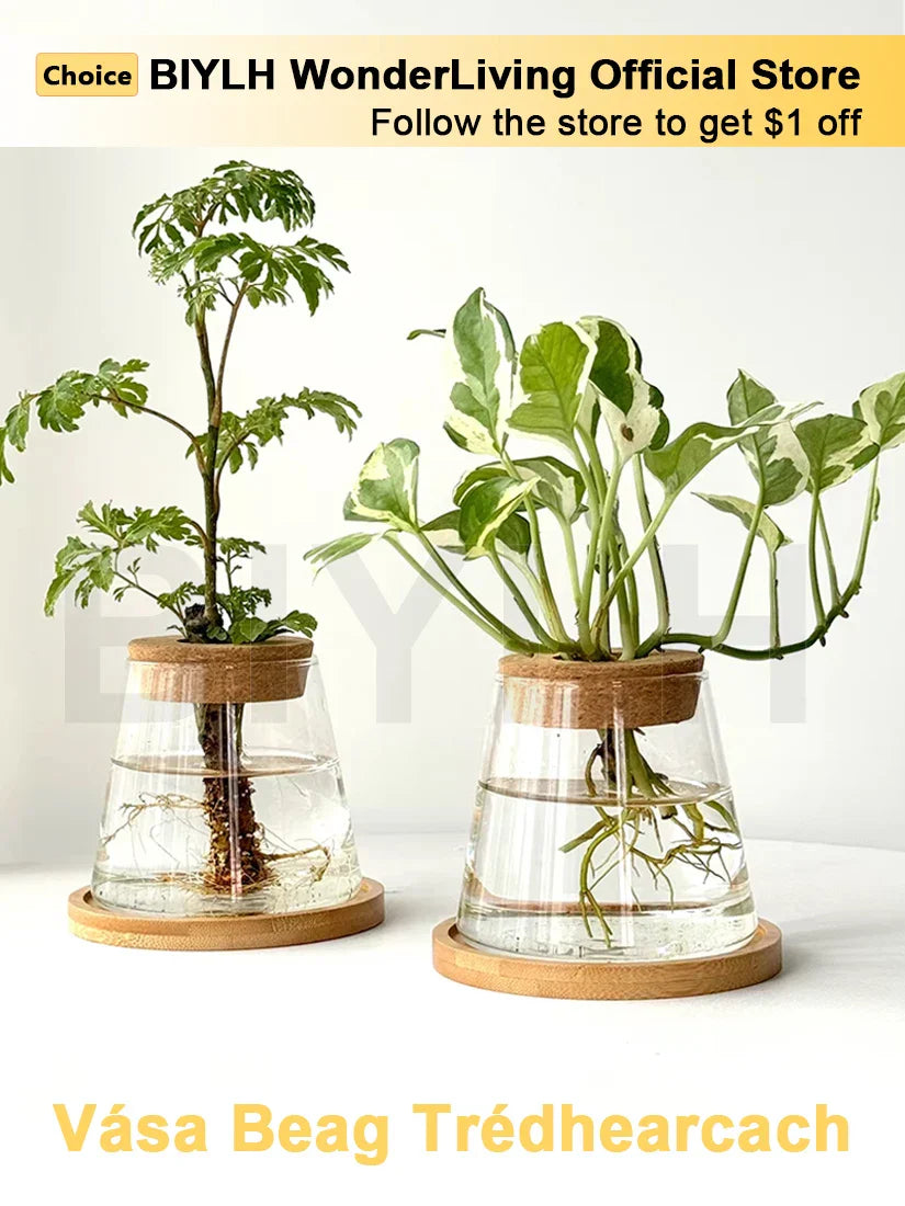 Small Transparent Glass Vase for Home Decor - Vase