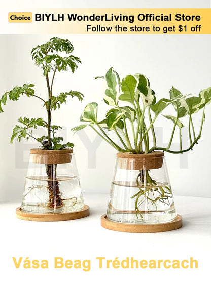 Small Transparent Glass Vase for Home Decor - Vase