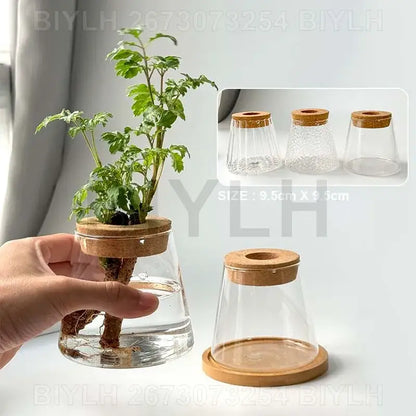 Clear glass terrarium with natural cork lid and wooden base as a small transparent glass vase for indoor decor