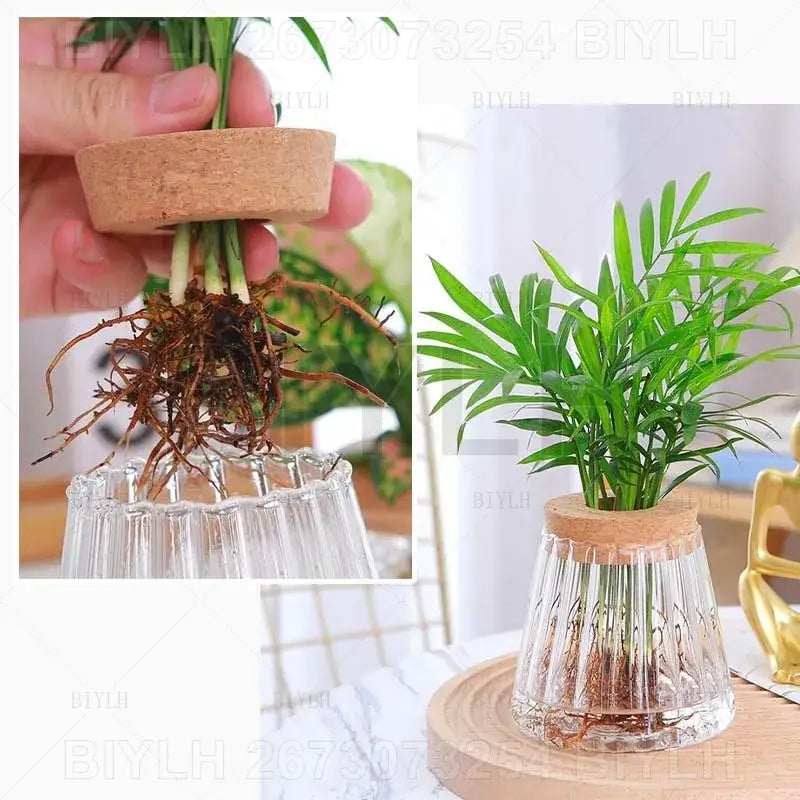 Clear glass vase with cork lid and vertical ridges holding green foliage in water small transparent glass vase by decorbites