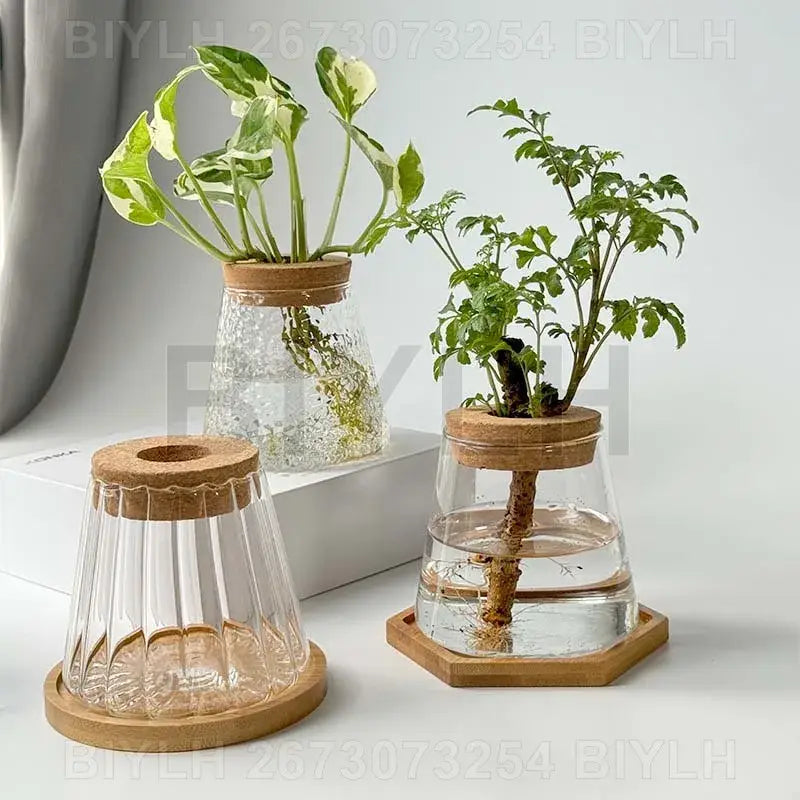 DecorBites small transparent glass vase with textured fluted design wooden lids and bases for home decor