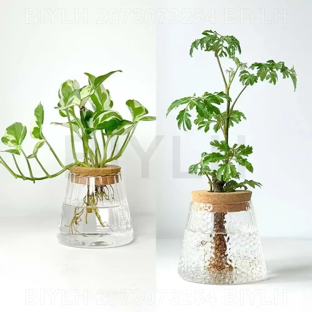 Decorbites™ small transparent glass vase with textured surface cork lids holding green plants for home decor