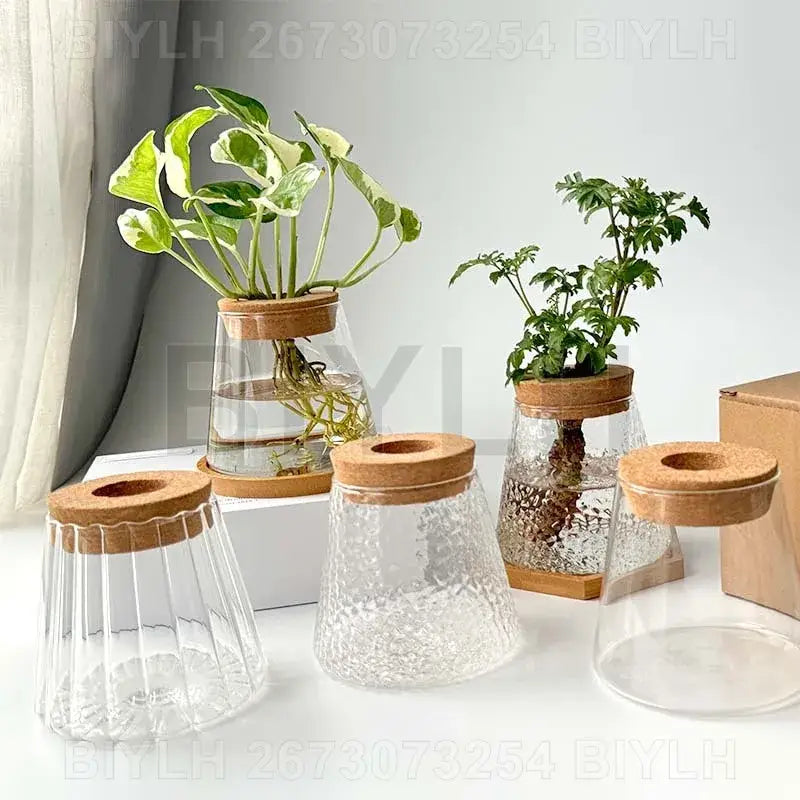 Decorbites™ small transparent glass vase featuring clear textured glass with natural cork lids for home decor