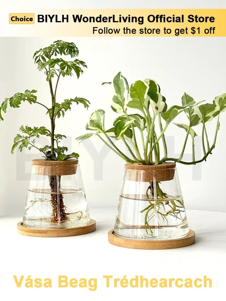 Decorbites™ small transparent glass vase with wooden lids and bamboo bases holding green leafy plants for home decor