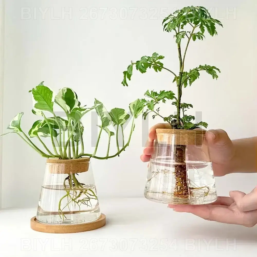 Decorbites™ small transparent glass vase with bamboo lid and circular wooden base for home decor use