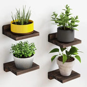 Dark wood floating shelves 4-pack small floating shelves holding potted plants in colorful patterned pots
