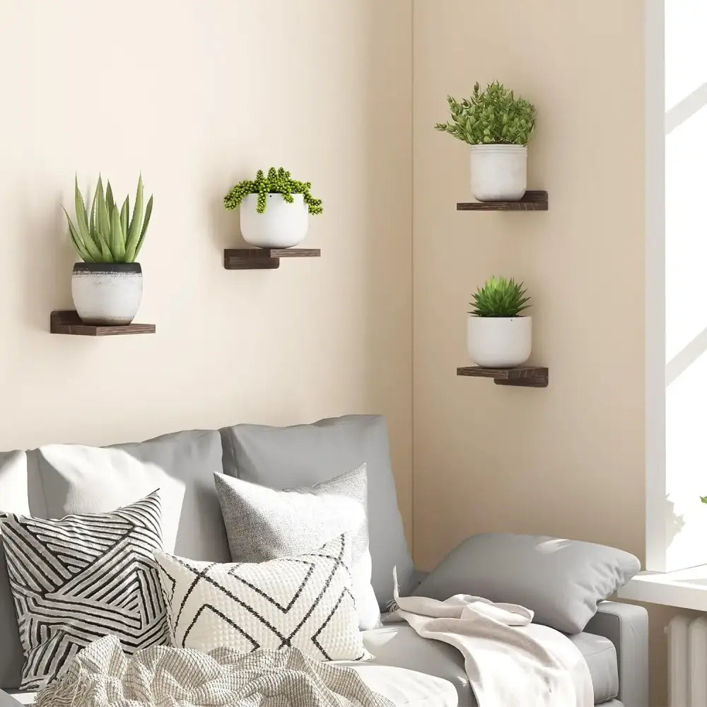 DecorBites small wood floating shelves 4-pack with white ceramic planters holding green succulents on dark wood shelves