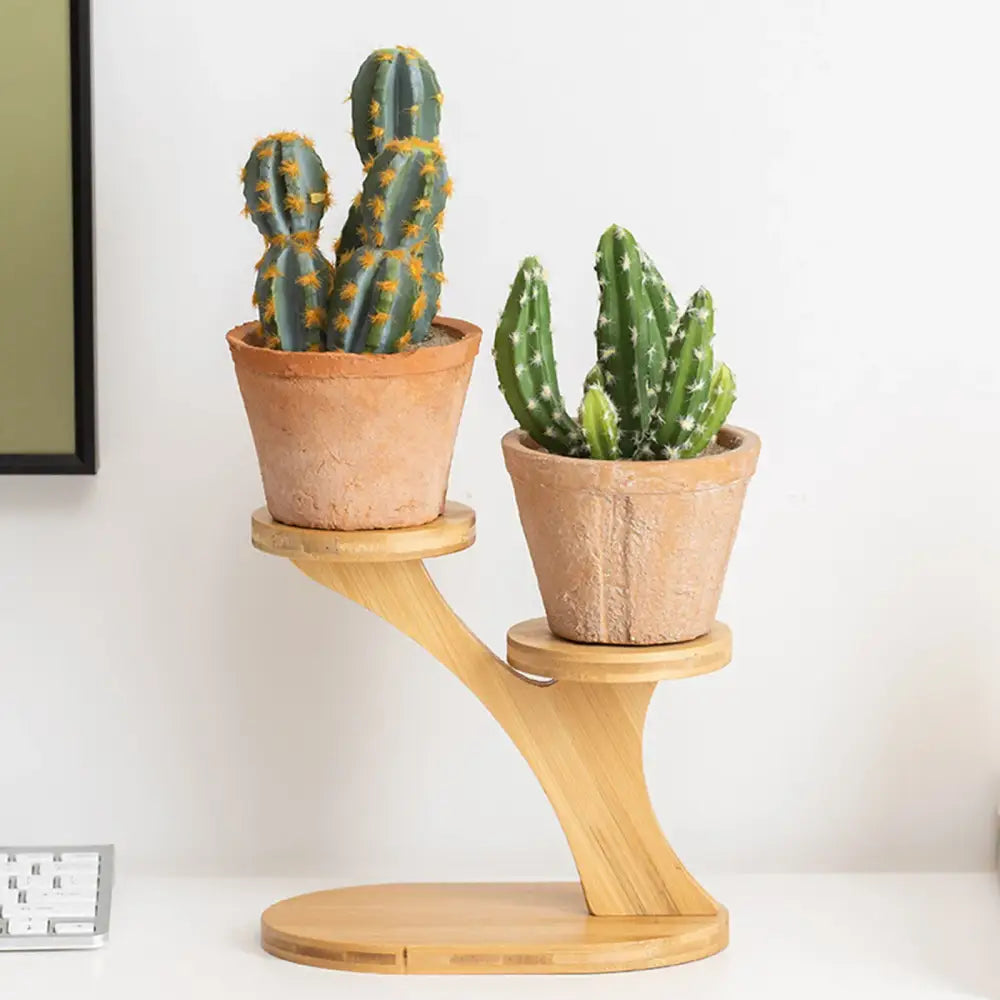 DecorBites™ light brown bamboo flower pot stand holding two terracotta pots with green cacti for home and office