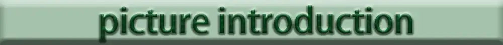 Green rectangular banner with dark green text picture introduction for DecorBites toilet and bathroom storage rack space-saving design