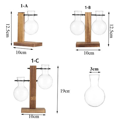 Transparent Avocado Seed Starter Vase - Vase