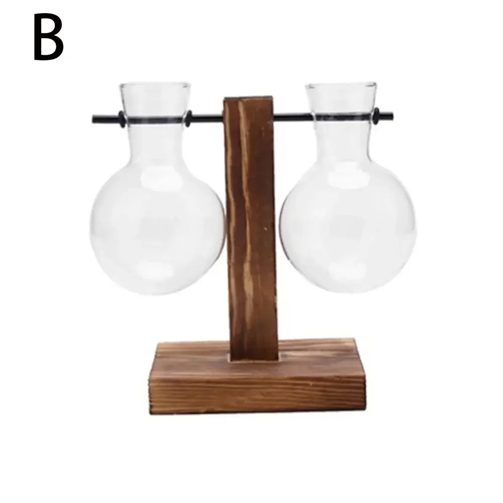 Transparent Avocado Seed Starter Vase - B - Vase