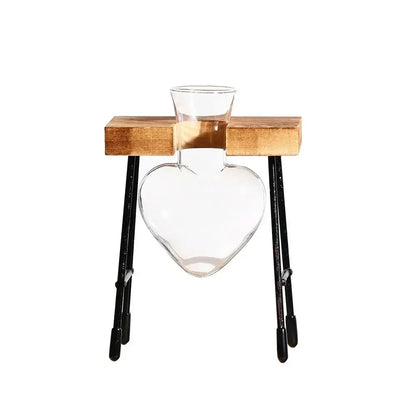 Transparent Avocado Seed Starter Vase - 5 - Vase