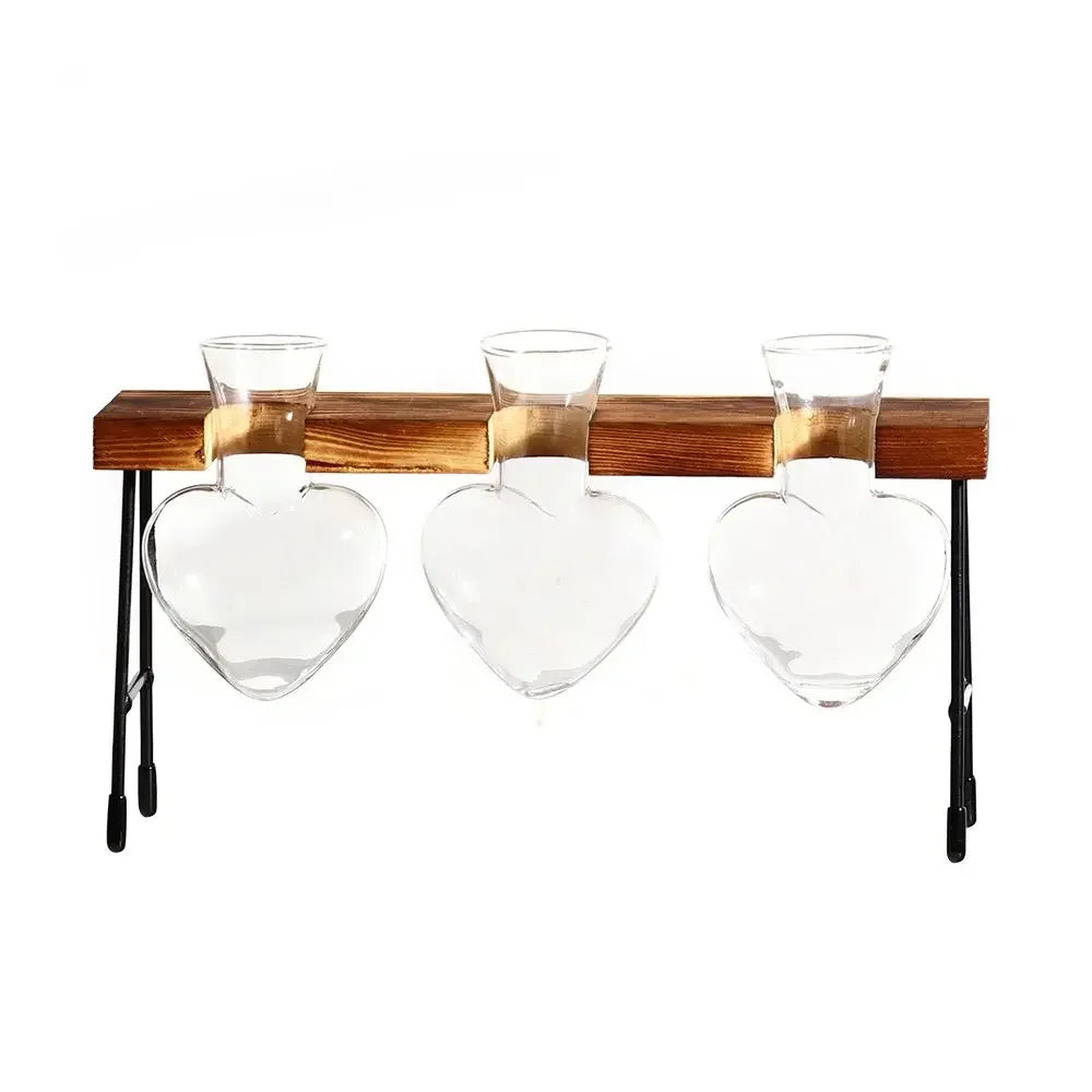 Transparent Avocado Seed Starter Vase - 7 - Vase