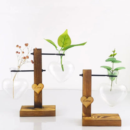 Transparent Avocado Seed Starter Vase - Vase