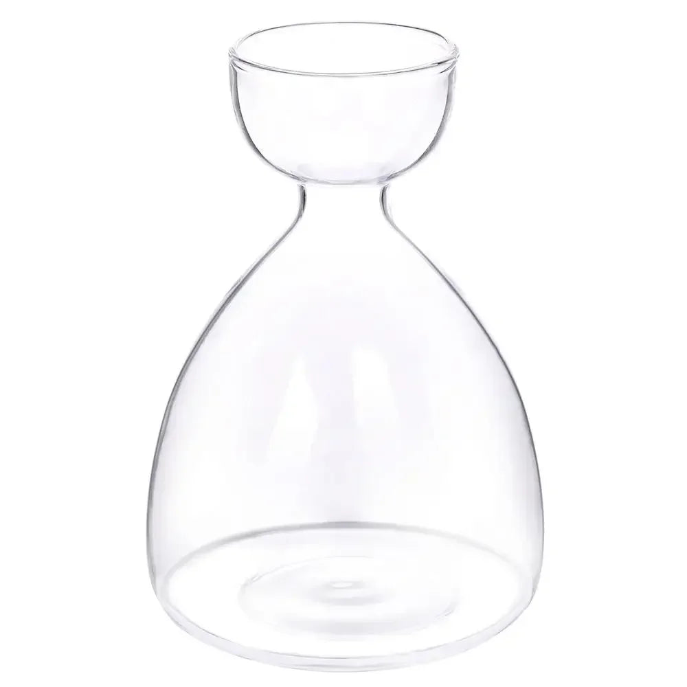 Transparent Avocado Seed Starter Vase - 3 - Vase