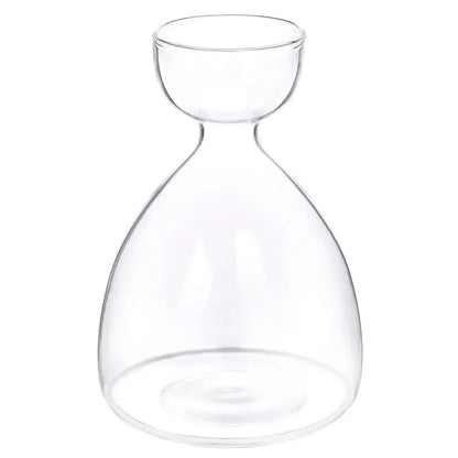 Transparent Avocado Seed Starter Vase - 3 - Vase