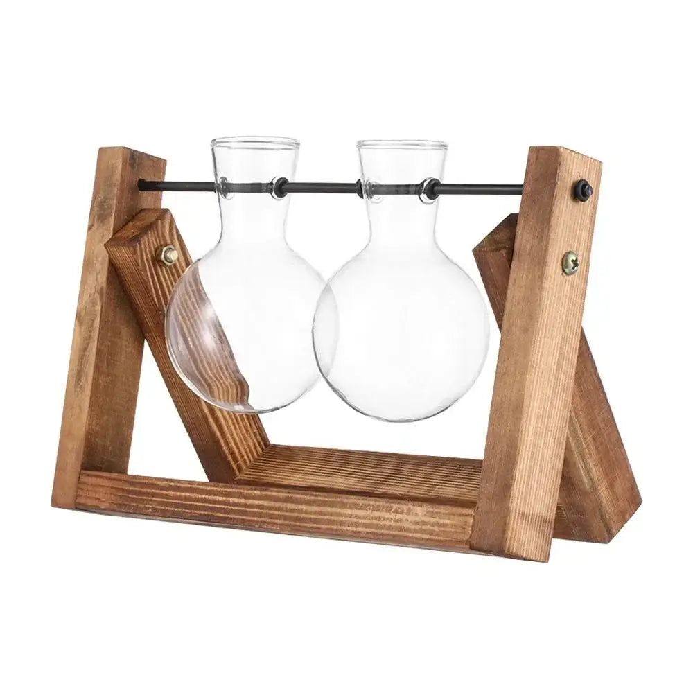 Clear glass spherical vases with narrow necks on a rustic wooden stand for avocado seed starter decorbites transparent vase
