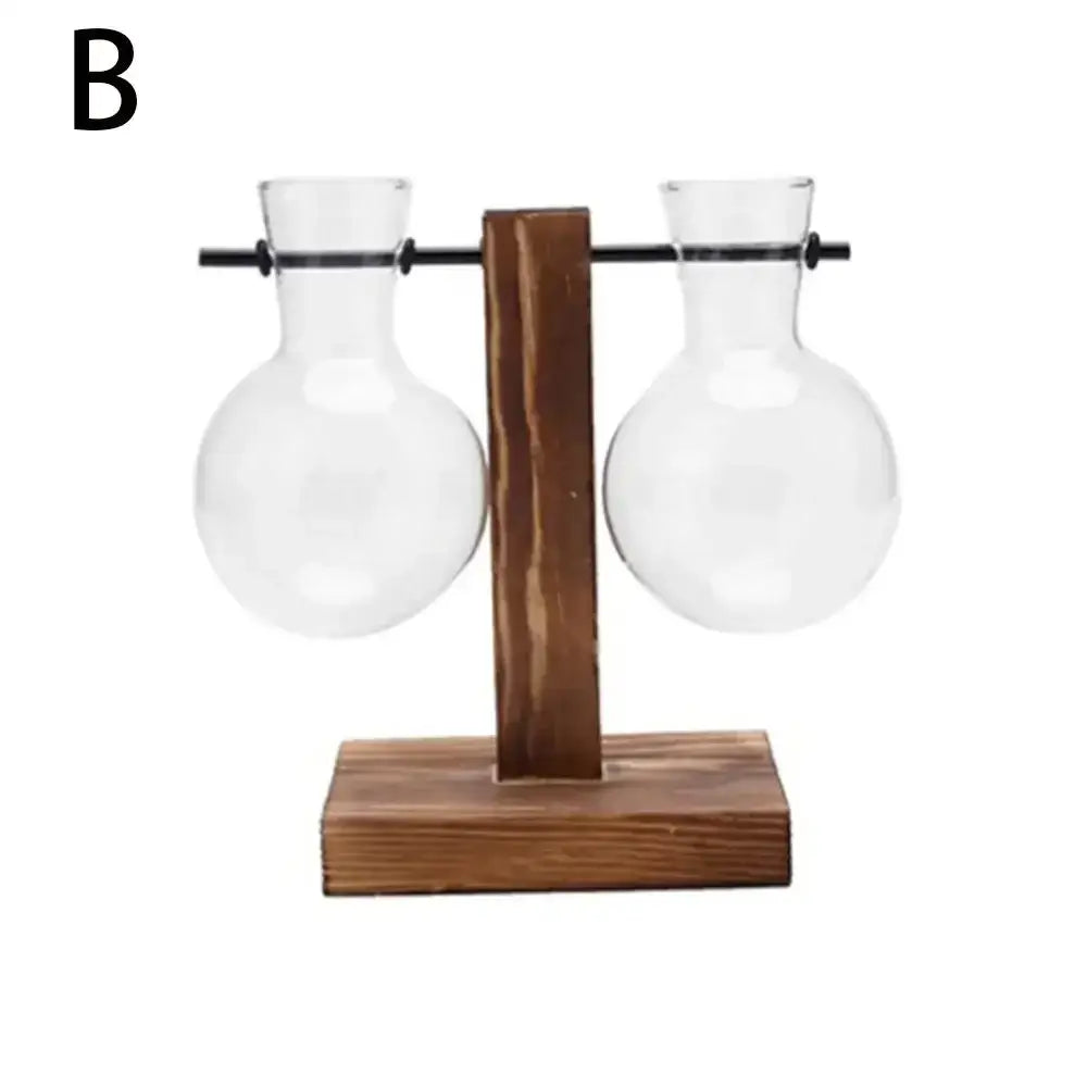 Decorbites transparent glass avocado seed starter vases with rounded bodies on rustic wooden stand for seed starter use