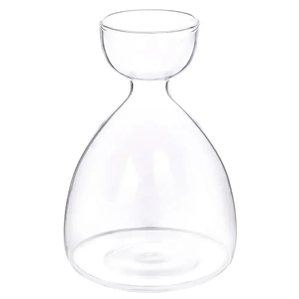 Clear glass carafe with rounded body and narrow neck for use as decorbites transparent avocado seed starter vase