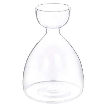Clear glass carafe with rounded body and narrow neck for use as decorbites transparent avocado seed starter vase