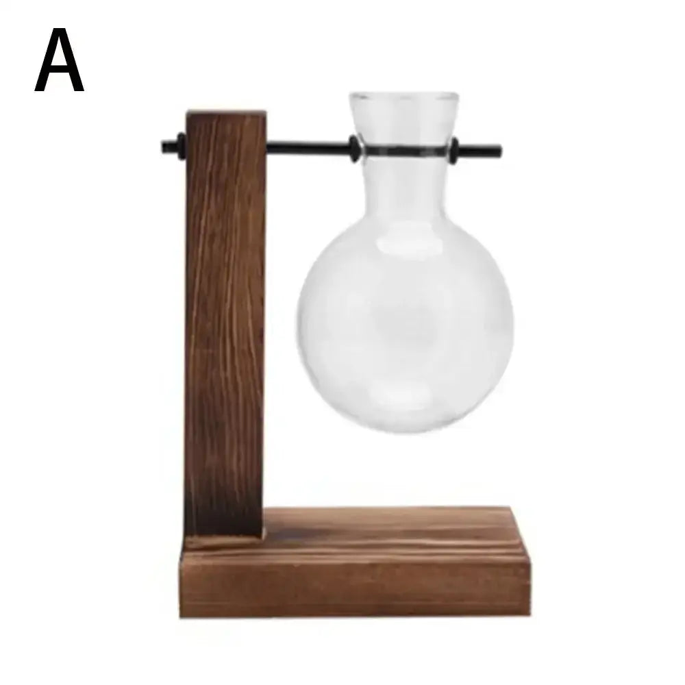 Clear glass avocado seed starter vase with rounded bulb and narrow neck on dark brown wooden stand by DecorBites