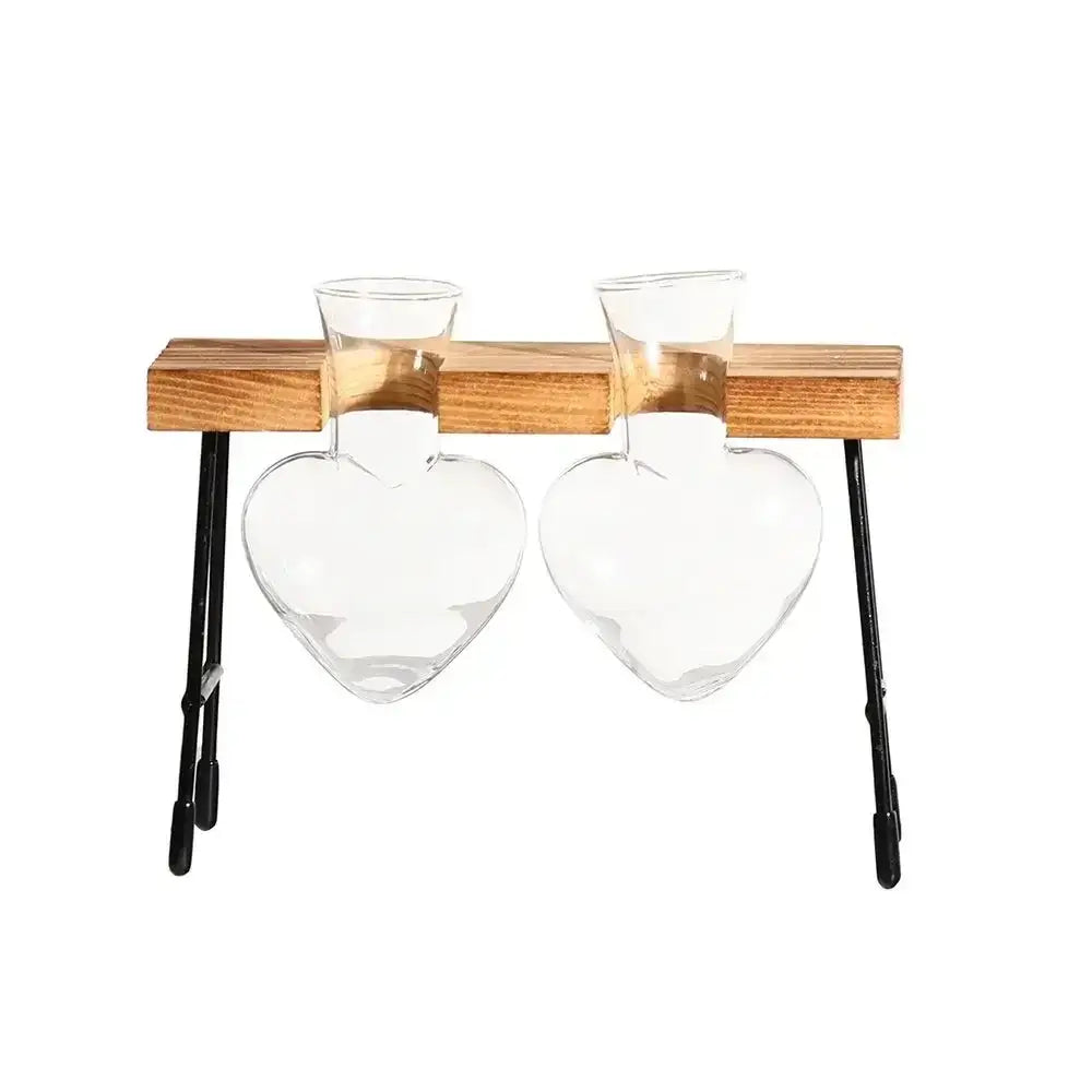 Clear glass heart-shaped planters with wooden shelf and black metal legs for decorbites™ transparent avocado seed starter vase