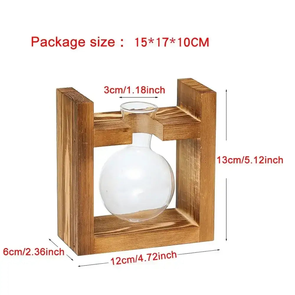 Clear glass round-necked seed starter vase in a rustic wooden frame for avocado seed by decorbites