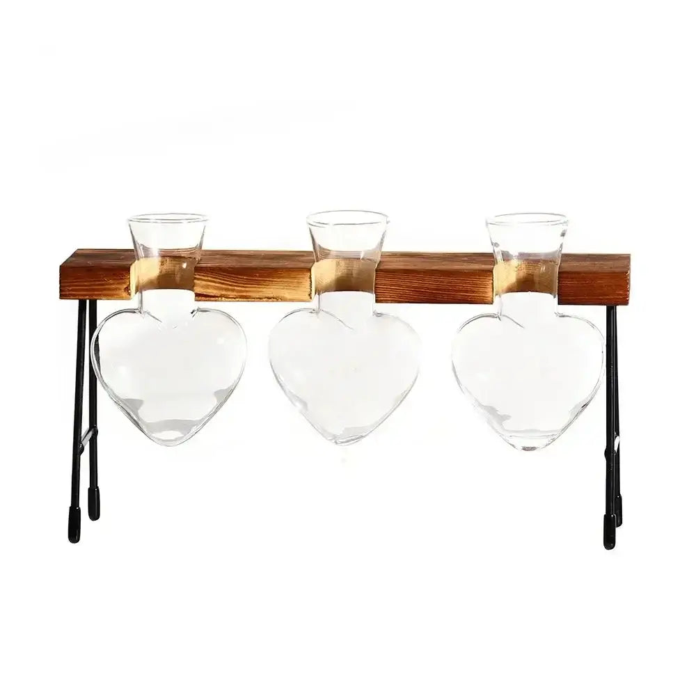 Set of three clear glass heart-shaped avocado seed starter planters with gold-toned necks on wooden shelf