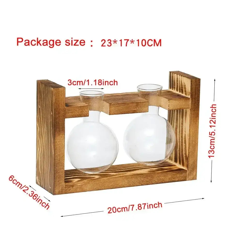 Wooden frame holding two clear glass spherical vases with narrow necks for avocado seed starter use by decorbites