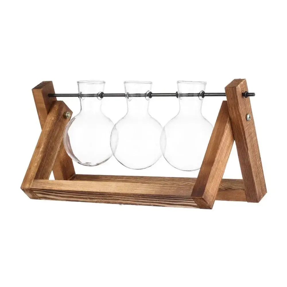 Wooden stand holding three clear glass vases for decorbites transparent avocado seed starter seed starter use