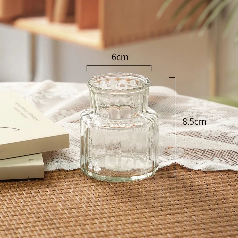 Transparent Nordic Vase for Plants and Flowers - Vase