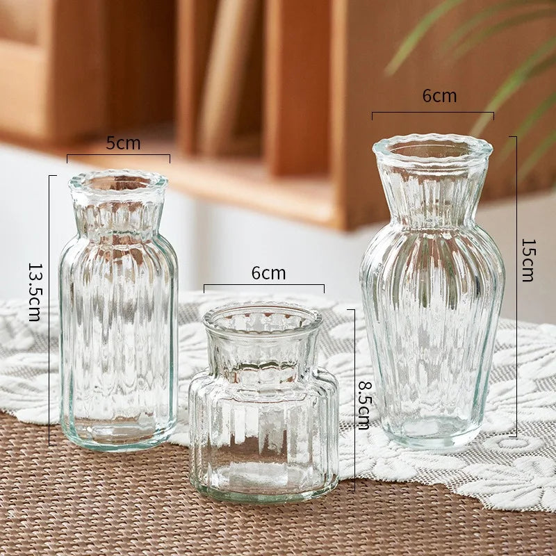 Transparent Nordic Vase for Plants and Flowers - Vase