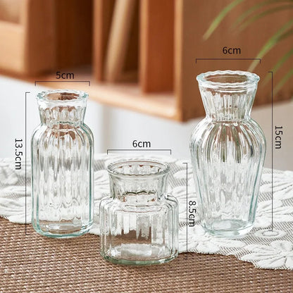Transparent Nordic Vase for Plants and Flowers - Vase