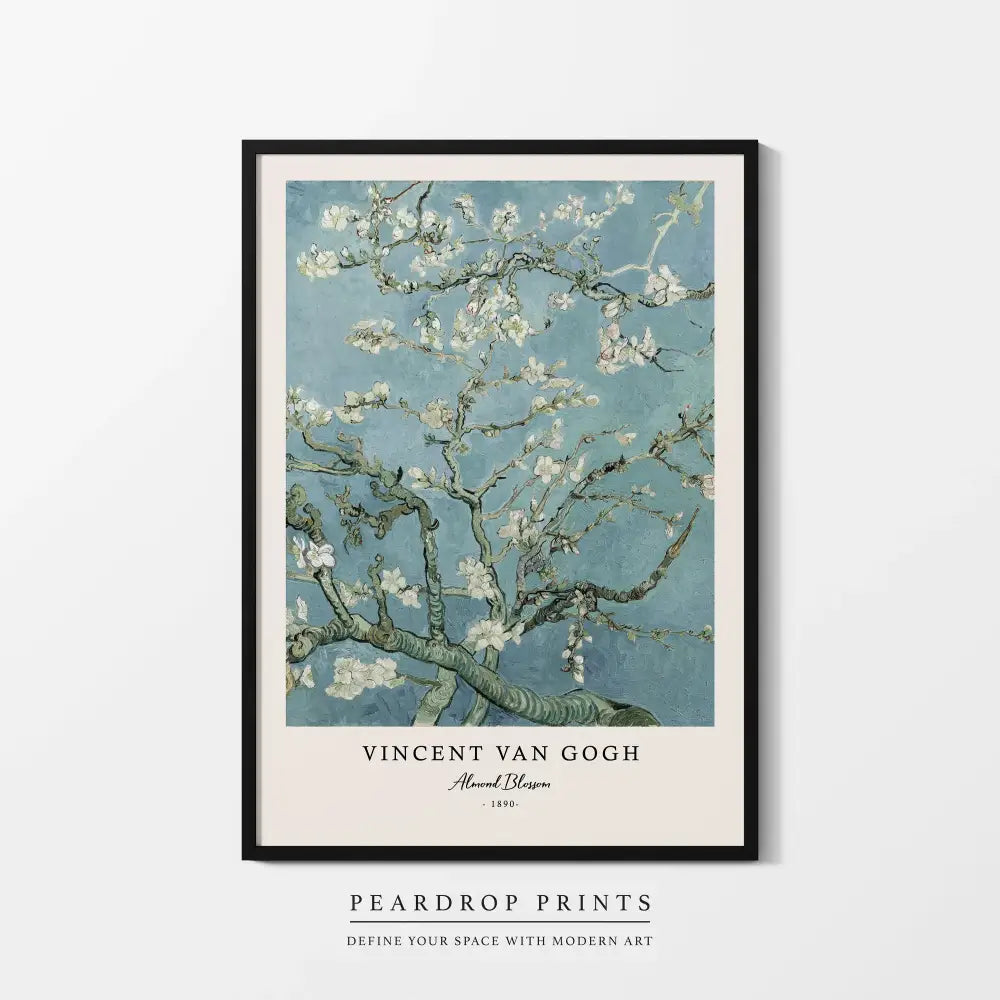 A framed print of vincent van gogh almond blossom with white flowers on blue in a black frame from DecorBites starry night series