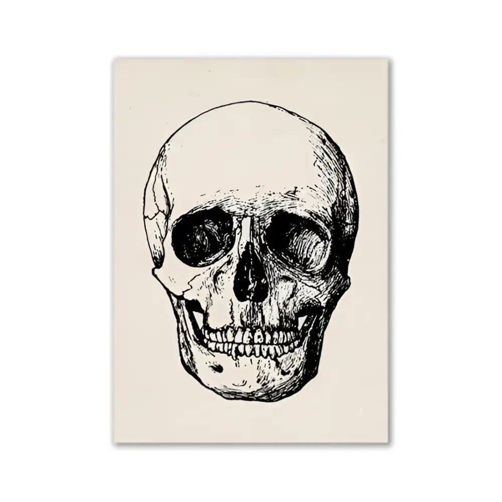 Decorbites™ vintage anatomy poster featuring a detailed black ink illustration of a human skull on textured paper