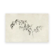 A delicate black ink sketch of a leafy branch on aged paper in decorbites vintage farmhouse landscape canvas wall art