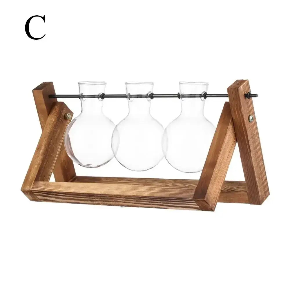 Decorbites vintage glass hydroponic plant vase set with clear glass terrariums on a rustic wooden frame