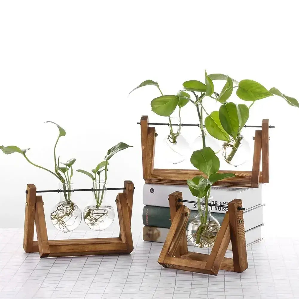 Wooden plant stand with vintage glass hydroponic clear glass vases holding green leafy plants for tabletop decor