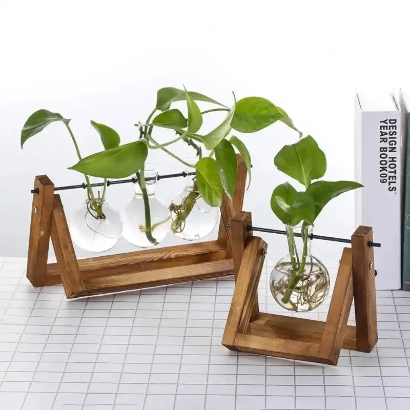 Wooden stand holding clear glass vase with green hydroponic plants and visible roots vintage glass hydroponic decor