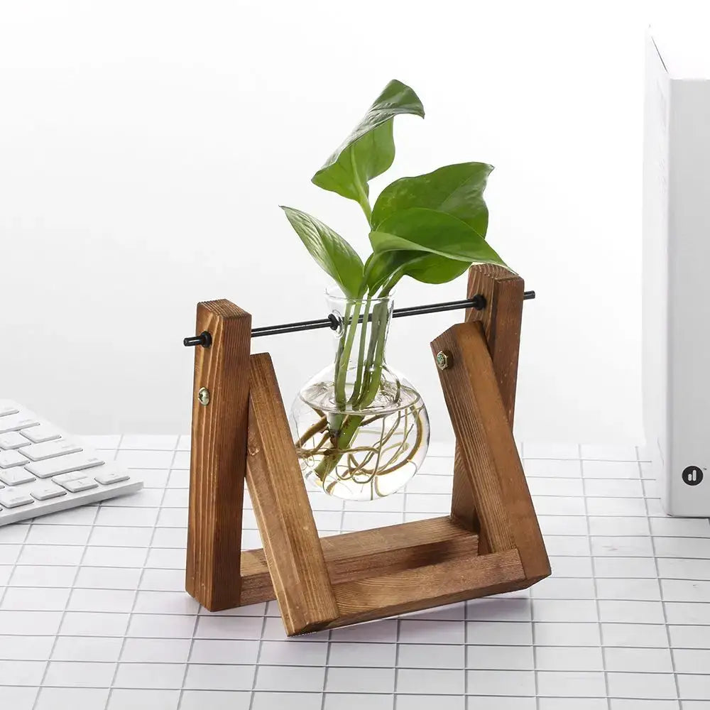 DecorBites™ vintage glass vase with wooden stand holding green pothos leaves as a hydroponic plant display