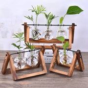 Decorbites™ vintage glass hydroponic plant vase tray with wooden triangular stand holding clear glass vases and green plants