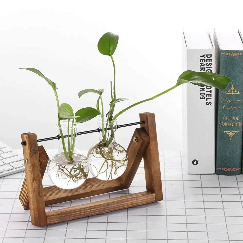 Wooden stand holding two clear glass vials with green hydroponic plants and visible roots in decorbites vintage glass vase