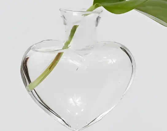 Decorbites™ vintage heart-shaped wooden frame glass vase with clear glass holding a green leafy stem