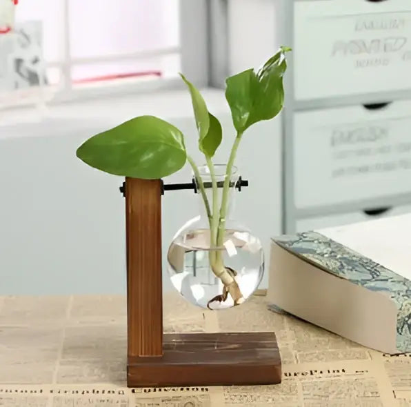 DecorBites vintage heart-shaped wooden frame glass vase with clear glass sphere and green leafy plant on wooden stand