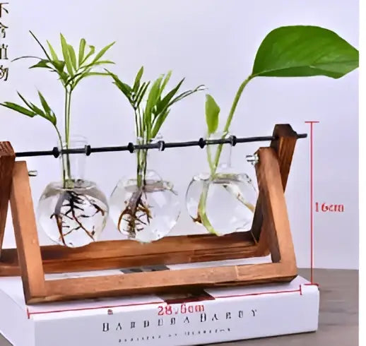 DecorBites™ vintage heart-shaped wooden frame glass vase with three clear glass vases and green plants in water