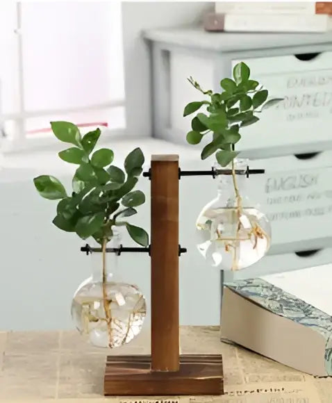 Decorbites™ vintage heart-shaped wooden frame glass vase with two clear glass spheres and green plants inside wooden frame glass
