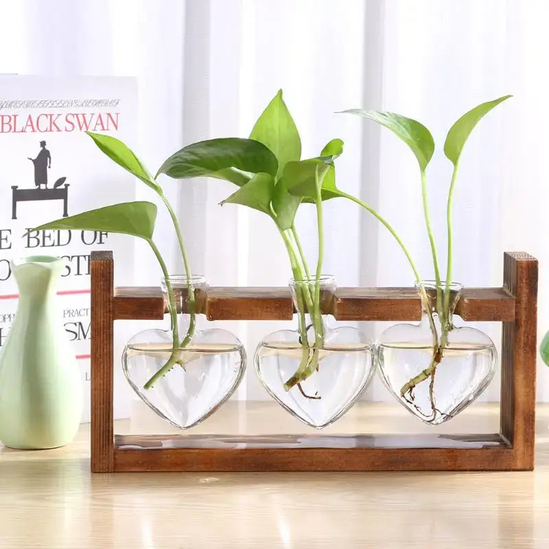 Decorbites™ vintage heart-shaped wooden frame glass vase with clear water and green plants in glass vases