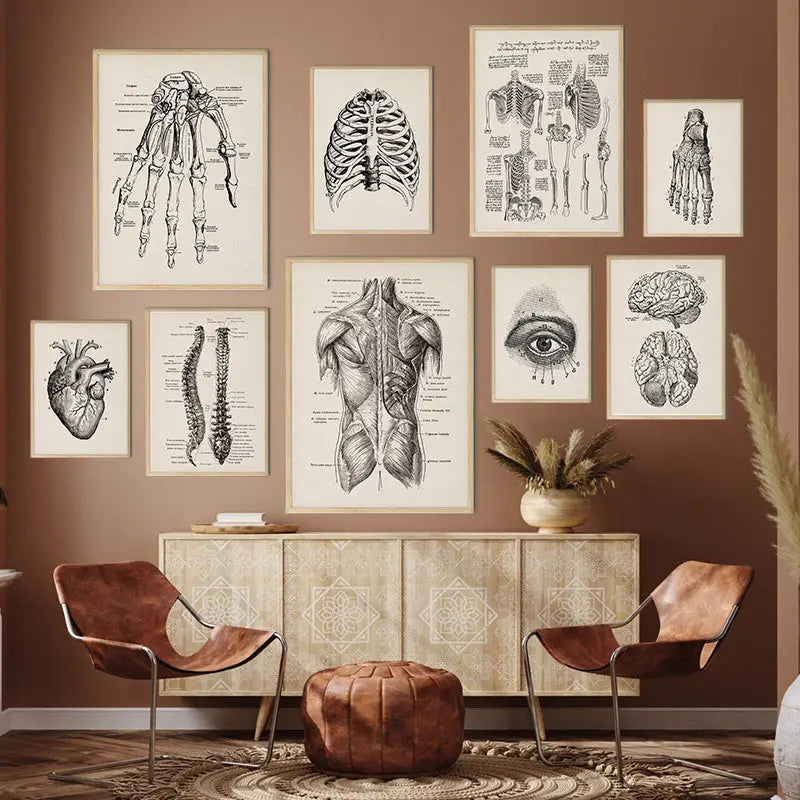 Set of eight framed vintage human anatomy posters featuring detailed black-and-white illustrations on cream canvas